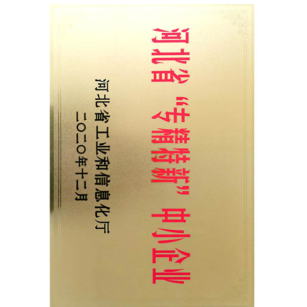 專精特新證書.jpg